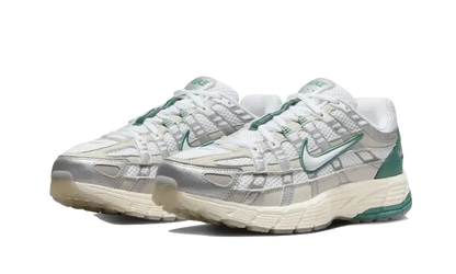 Nike P-6000 Light Bone