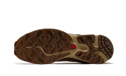 Salomon XT-6 Rubber Lizard